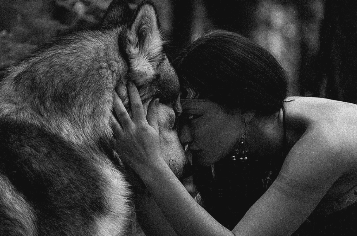 Would you ever disappear into the woods and let the world forget you?